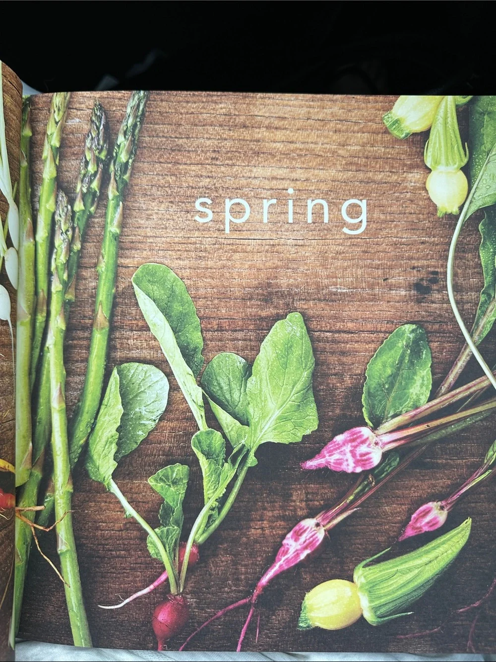 Season Cookbook by Justin W. and Tracey Shepos Cenami - Black Cover